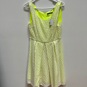 Tahari Green/White Layered Dress, US Size 12, New w/tags